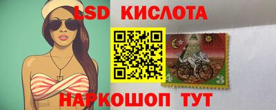 гашик Донской