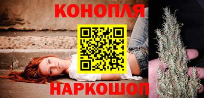 гашик Донской
