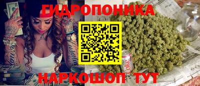 гашик Донской
