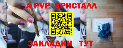 гашик Донской