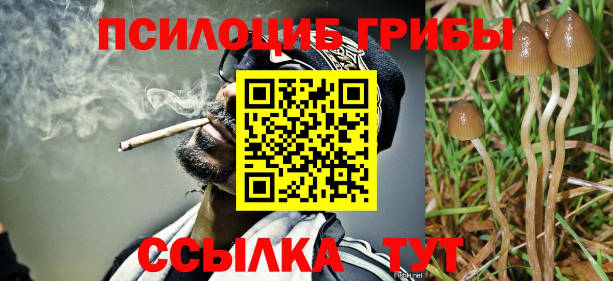 Лянтор  Галлюциногенные грибы Psilocybe  Вход с VPN 